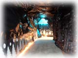 The Snow Tunnel 2008
